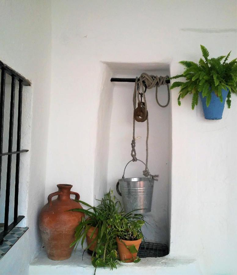 La Lectora Hotel Vejer de la Frontera Kültér fotó